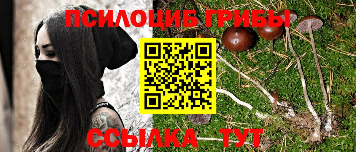 где купить   Галлюциногенные грибы прущие грибы  Вход с VPN  Калач-на-Дону  Галлюциногенные грибы Magic Shrooms 
